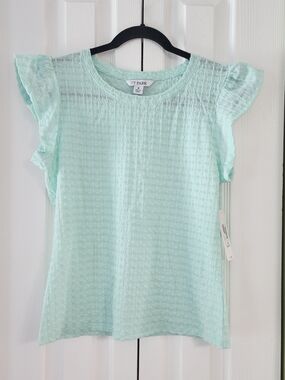 Mint Green Textured Flutter Sleeve Blouse